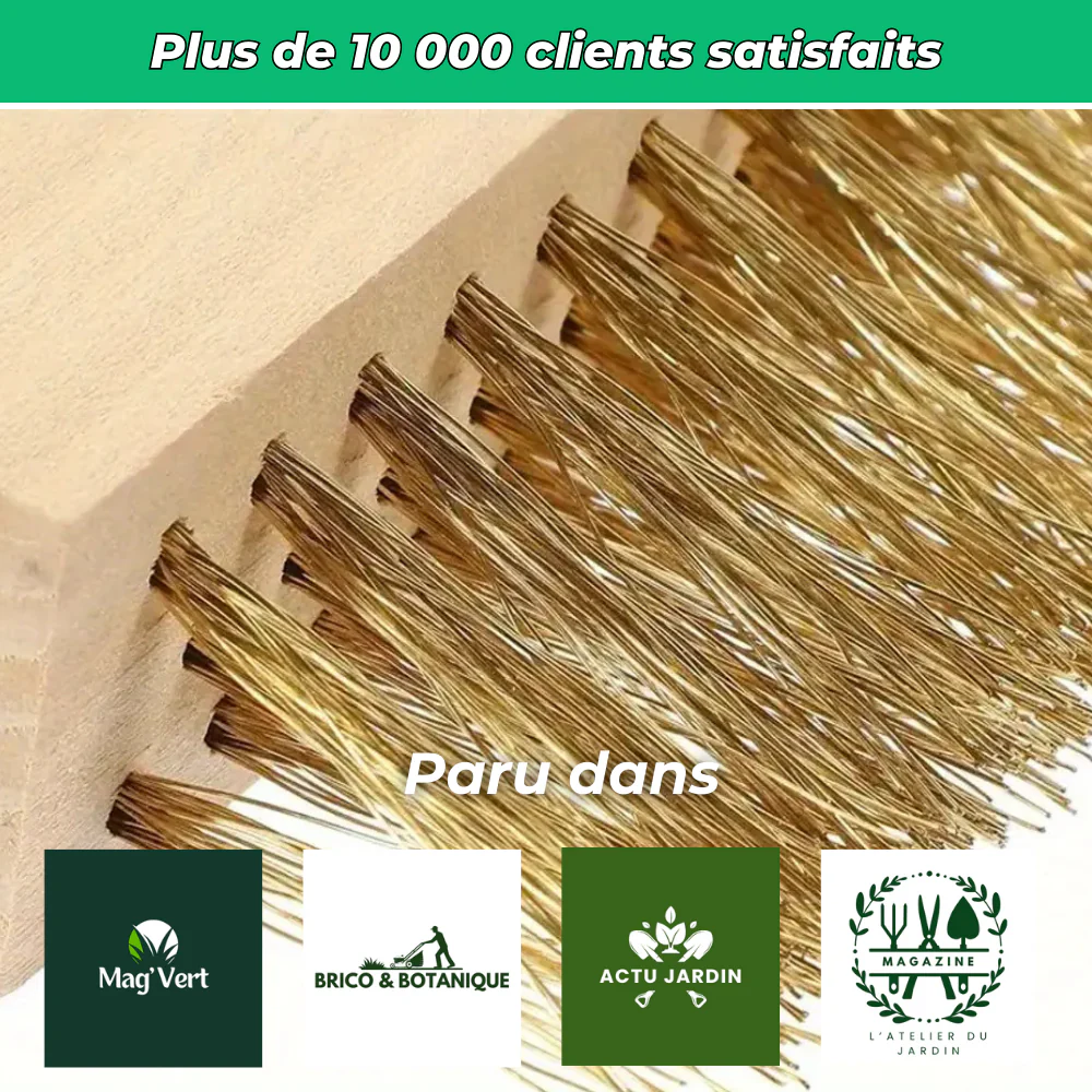Outil 2 en 1 pour Joints et Pavés Impeccables – Nettoyage et Entretien Précis des Surfaces Extérieures - Image 6