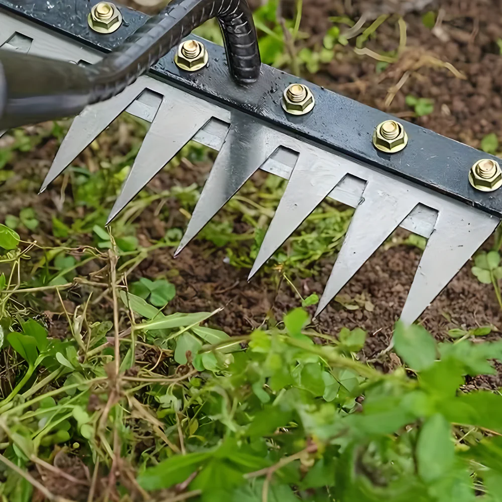 Râteau de Désherbage en Acier Robuste | Outil Résistant pour Entretien de Jardin et Élimination des Mauvaises Herbes - Image 6