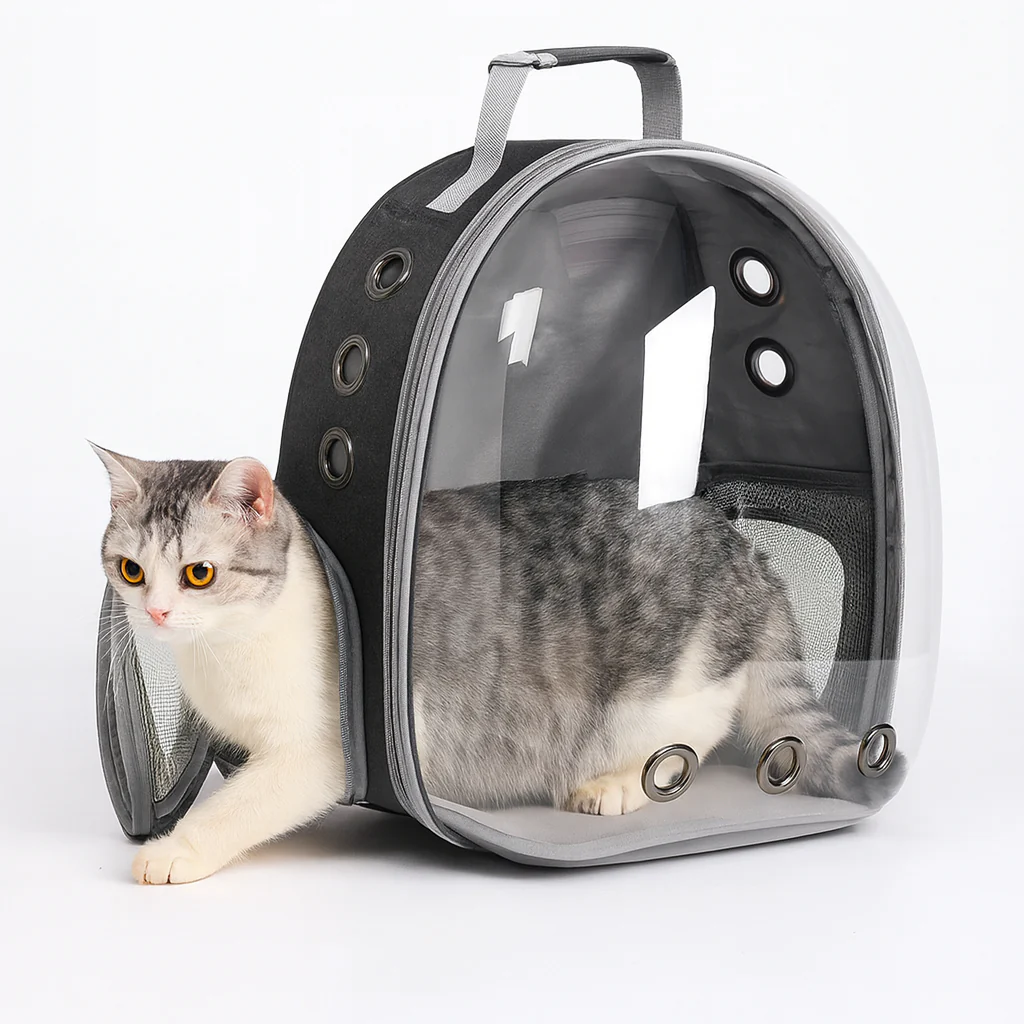 Sac à dos respirant pour chat – Fenêtre transparente et confort de transport - Image 11