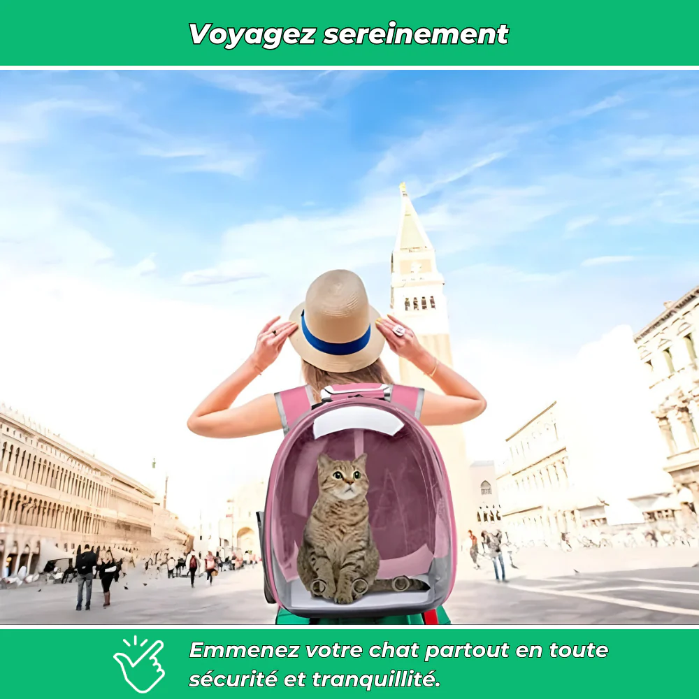 Sac à dos respirant pour chat – Fenêtre transparente et confort de transport - Image 3