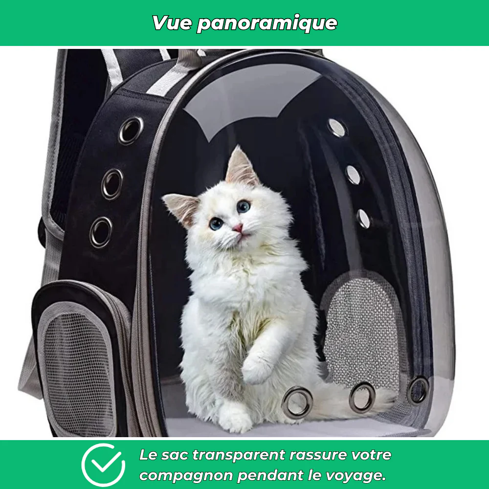 Sac à dos respirant pour chat – Fenêtre transparente et confort de transport - Image 5