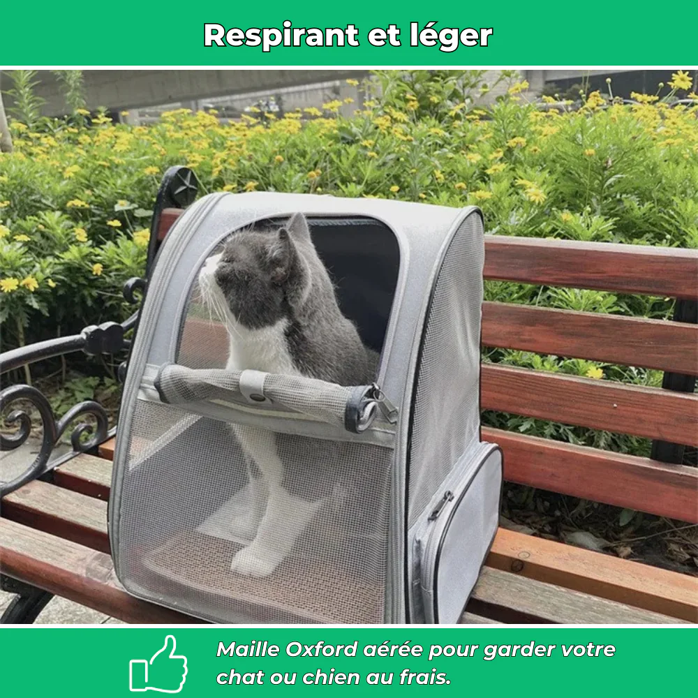 Sac de transport extérieur pour chien et chat – Voyage sécurisé et confortable - Image 4