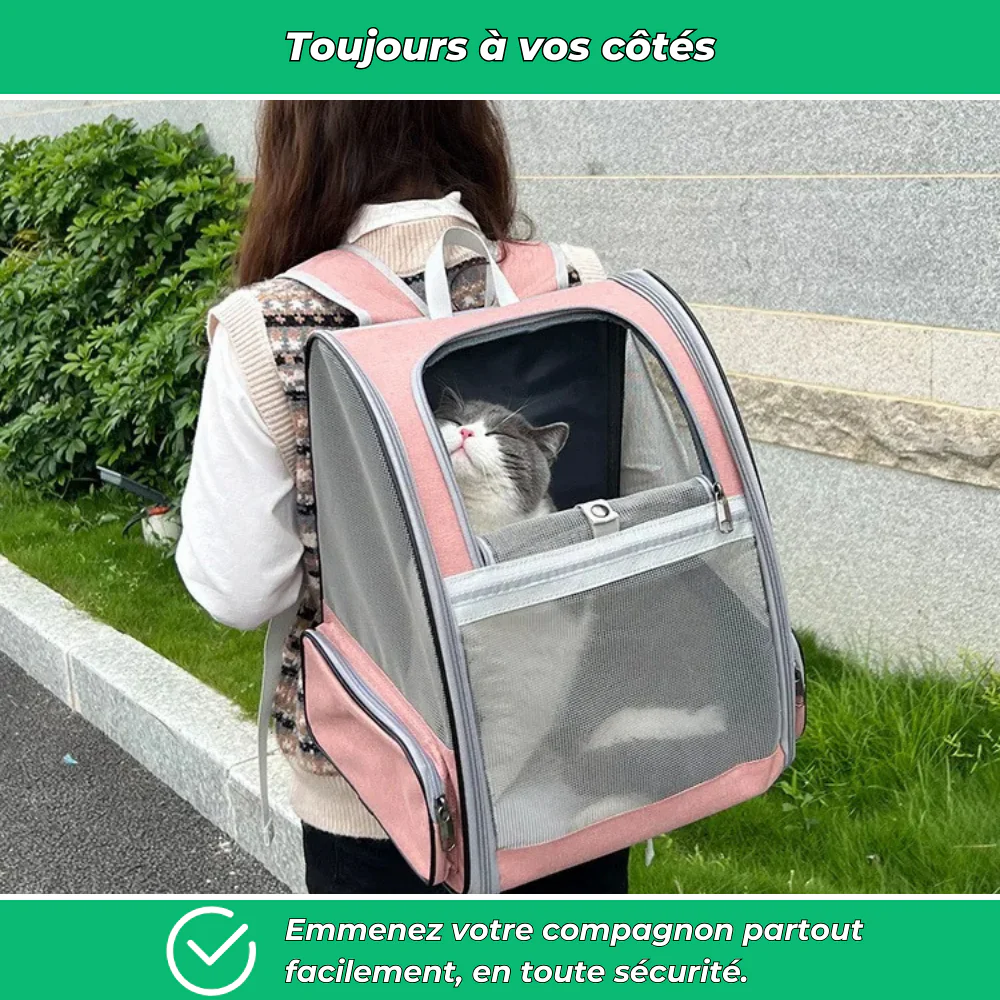 Sac de transport extérieur pour chien et chat – Voyage sécurisé et confortable - Image 5