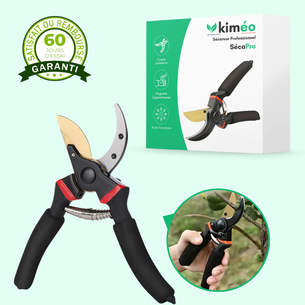 Sécateur Tranchant en Titane – Coupe Précise et Durable pour Jardinage Intensif - Image 2