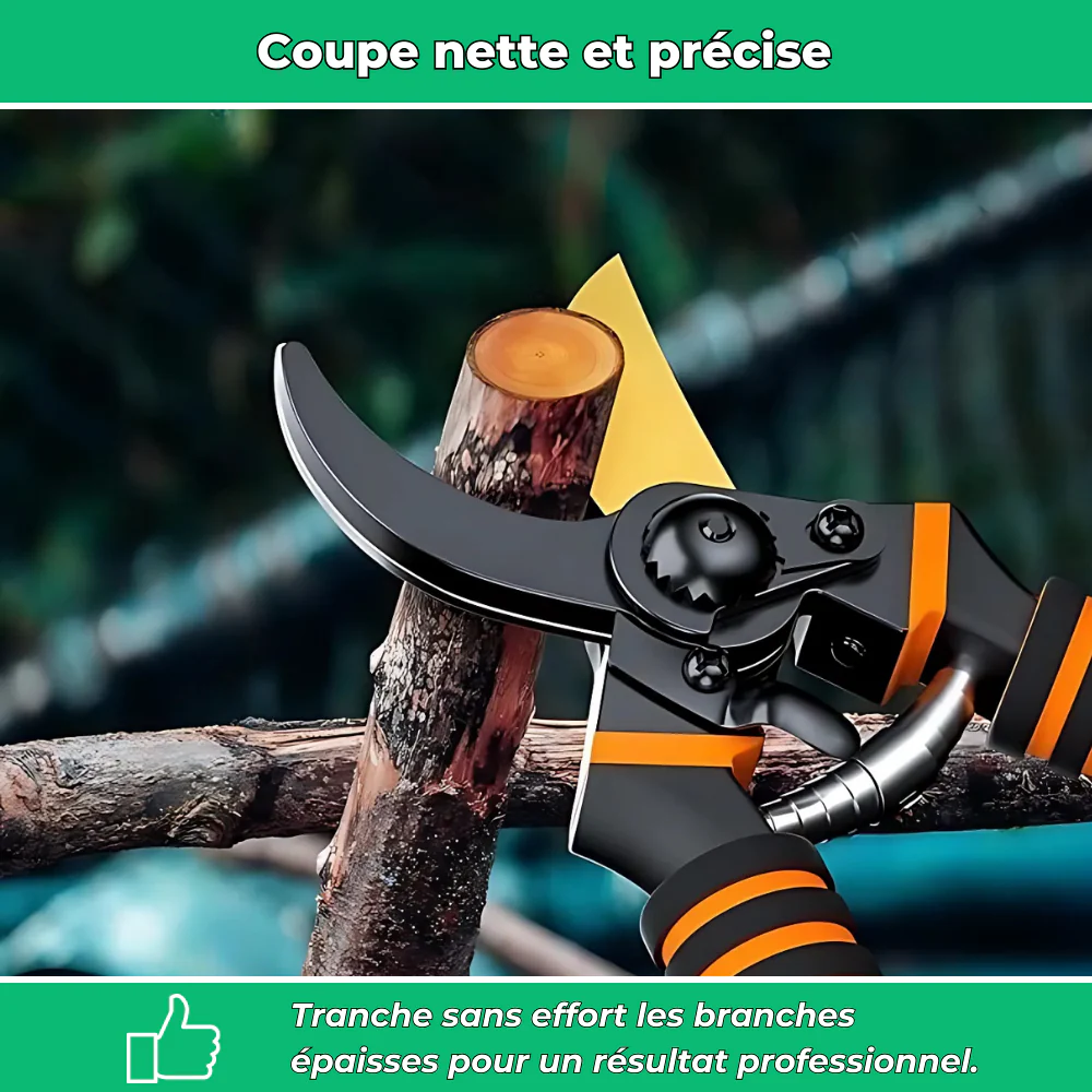 Sécateur Tranchant en Titane – Coupe Précise et Durable pour Jardinage Intensif - Image 3