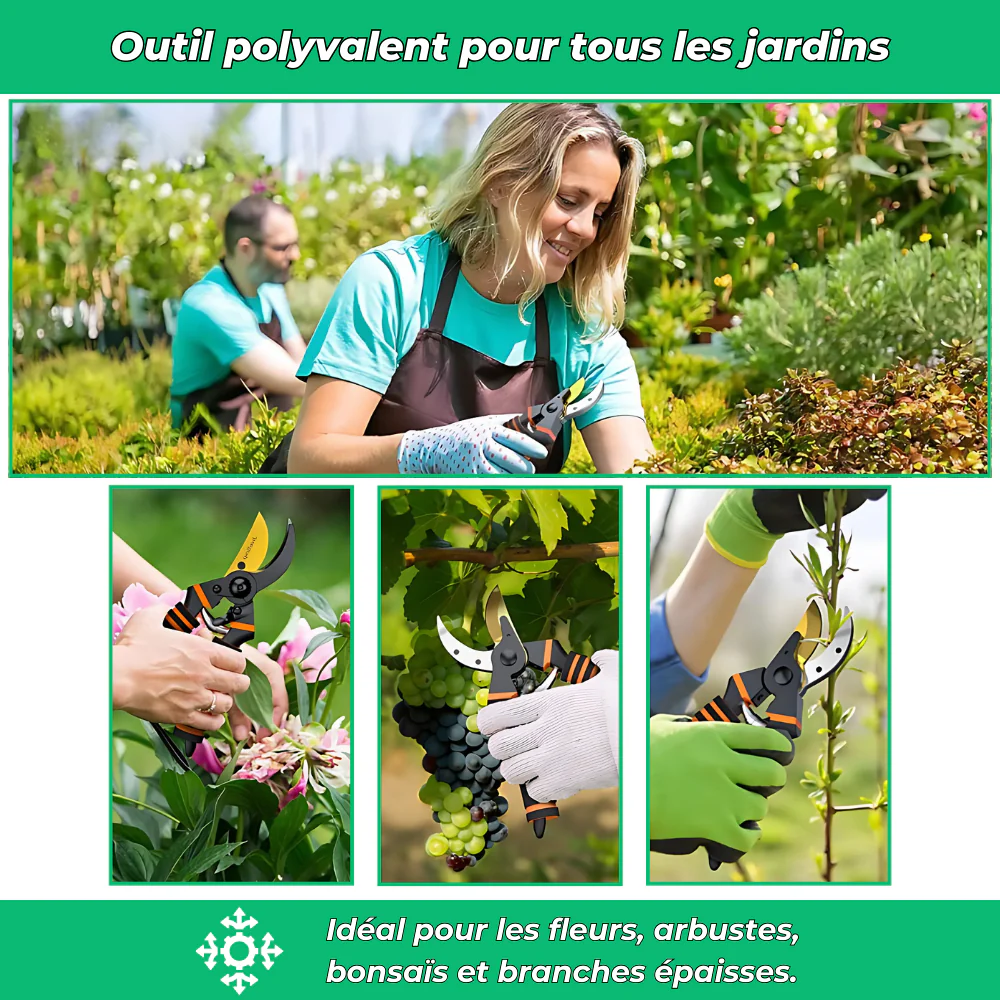 Sécateur Tranchant en Titane – Coupe Précise et Durable pour Jardinage Intensif - Image 5