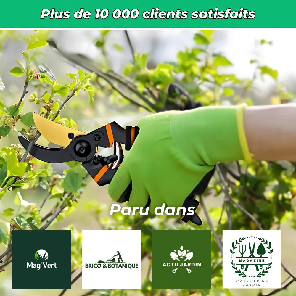 Sécateur Tranchant en Titane – Coupe Précise et Durable pour Jardinage Intensif - Image 6