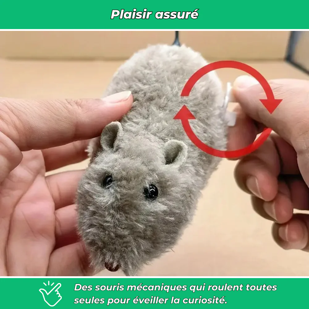 Souris mécaniques jouets pour chat (lot de 4) - Image 4
