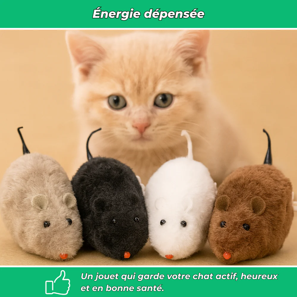 Souris mécaniques jouets pour chat (lot de 4) - Image 5