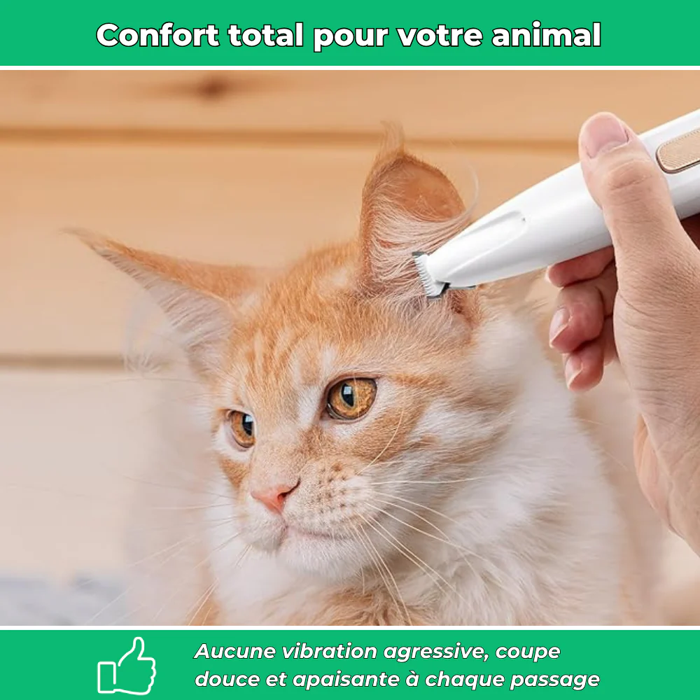 Tondeuse électrique silencieuse pour chiens et chats – Toilettage multi-zones sans stress - Image 3