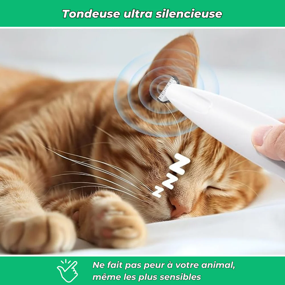 Tondeuse électrique silencieuse pour chiens et chats – Toilettage multi-zones sans stress - Image 4