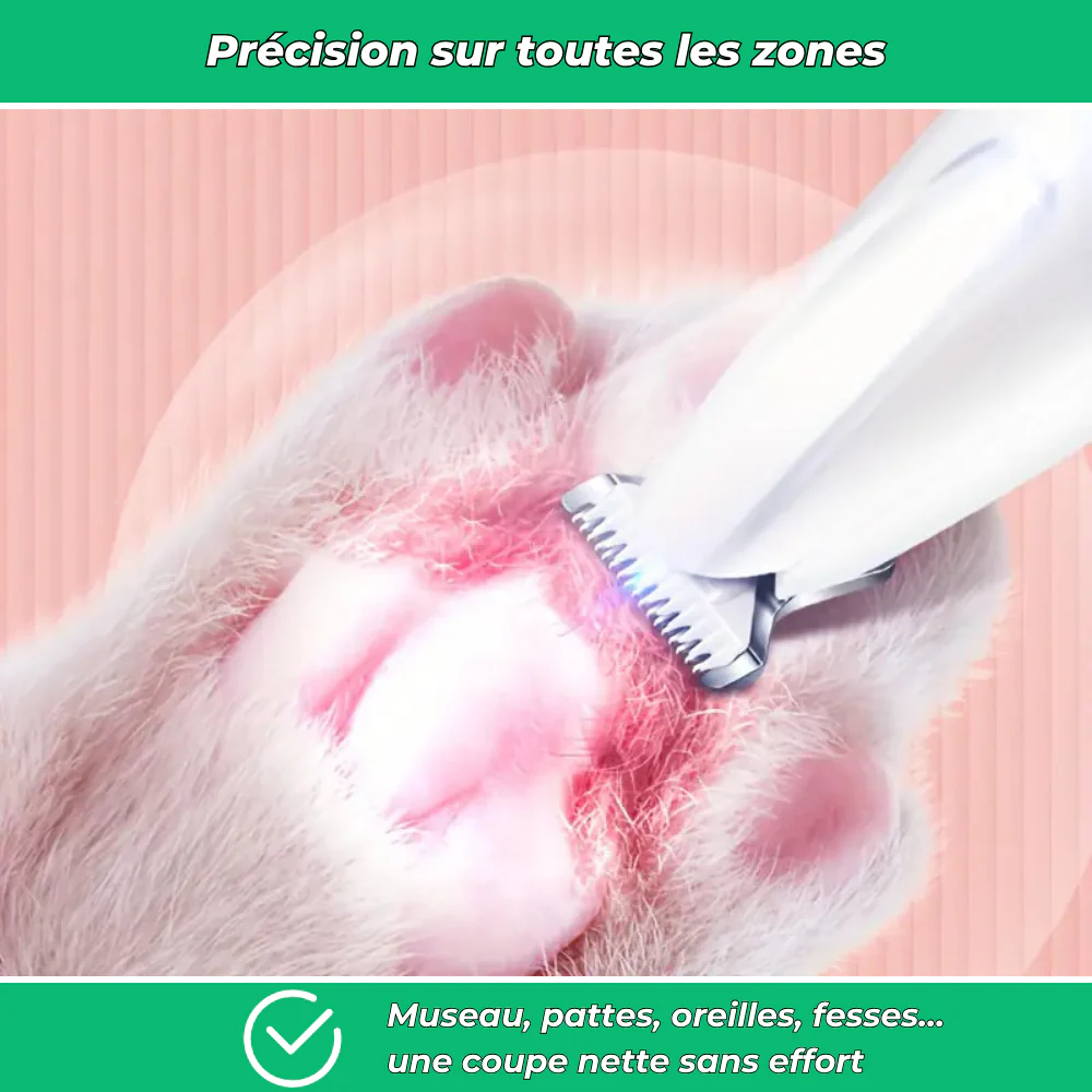 Tondeuse électrique silencieuse pour chiens et chats – Toilettage multi-zones sans stress - Image 5