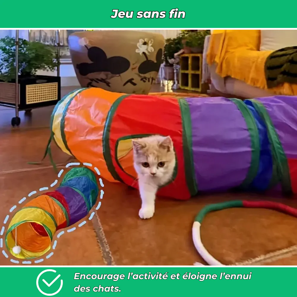 Tunnel de jeu pliable en S avec jouet suspendu pour chats - Image 3