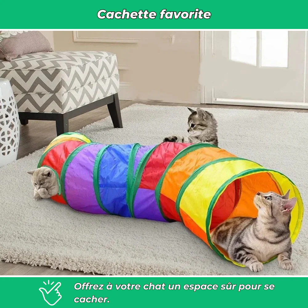 Tunnel de jeu pliable en S avec jouet suspendu pour chats - Image 4