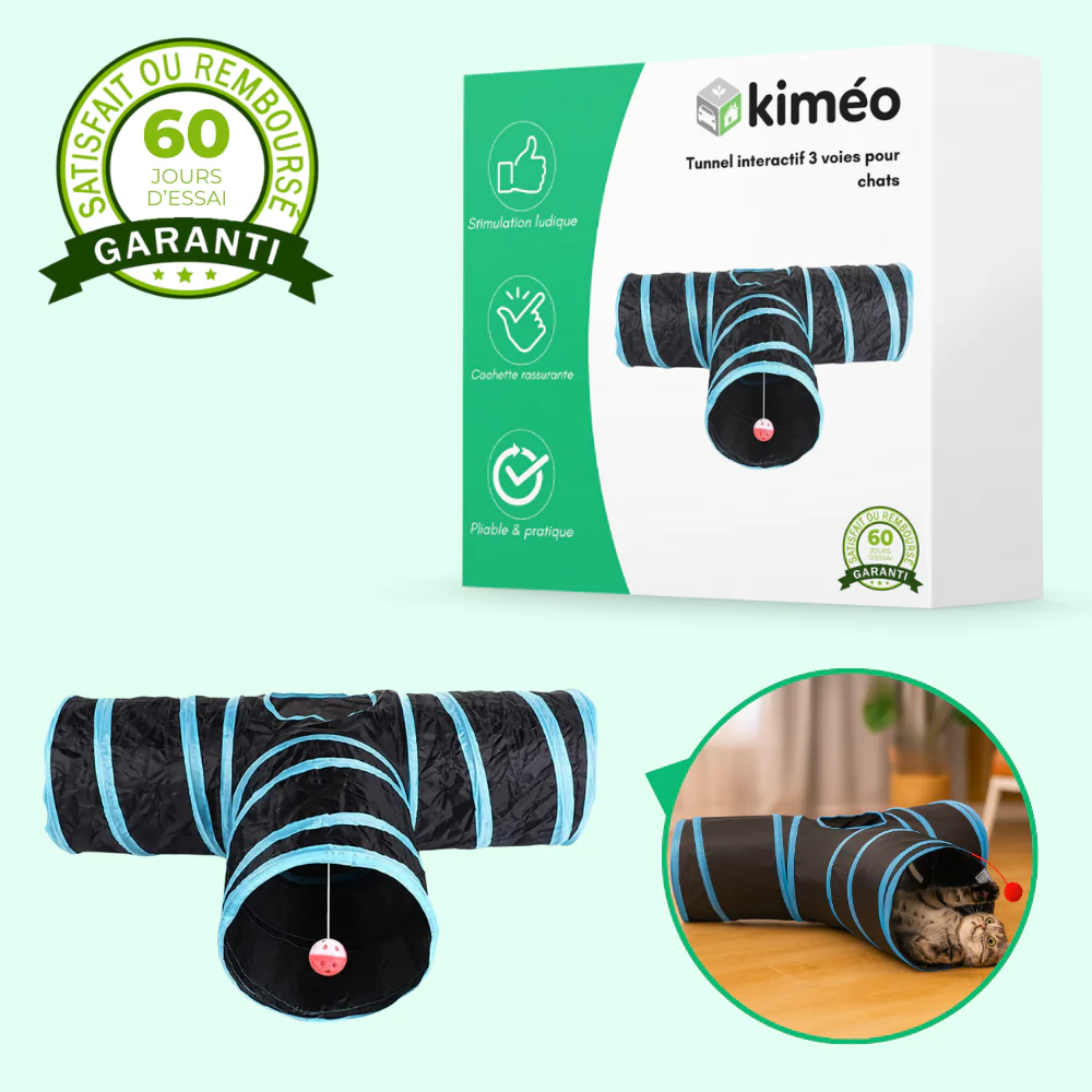 Tunnel interactif pliable 3 voies avec jouet pour chats - Image 2
