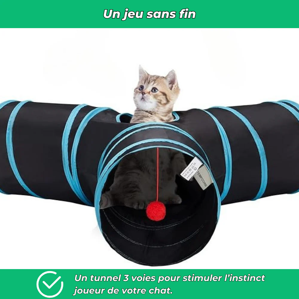 Tunnel interactif pliable 3 voies avec jouet pour chats - Image 3
