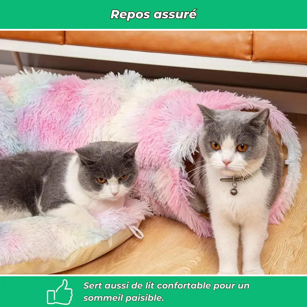 Tunnel pliable en peluche chaud pour chats et petits animaux - Image 5