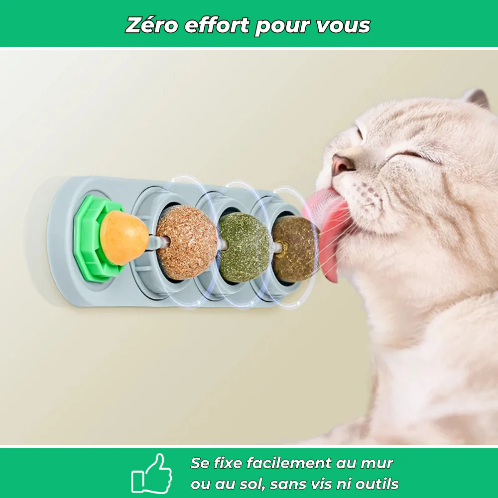 Jouet mural VetiChat à l’herbe à chat naturelle – Stimulation et relaxation - Image 5