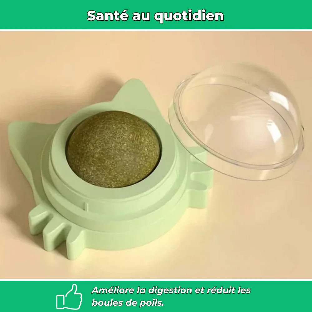 Sucette murale VetiPure à l’herbe à chat – Jouet relaxant et stimulant - Image 3