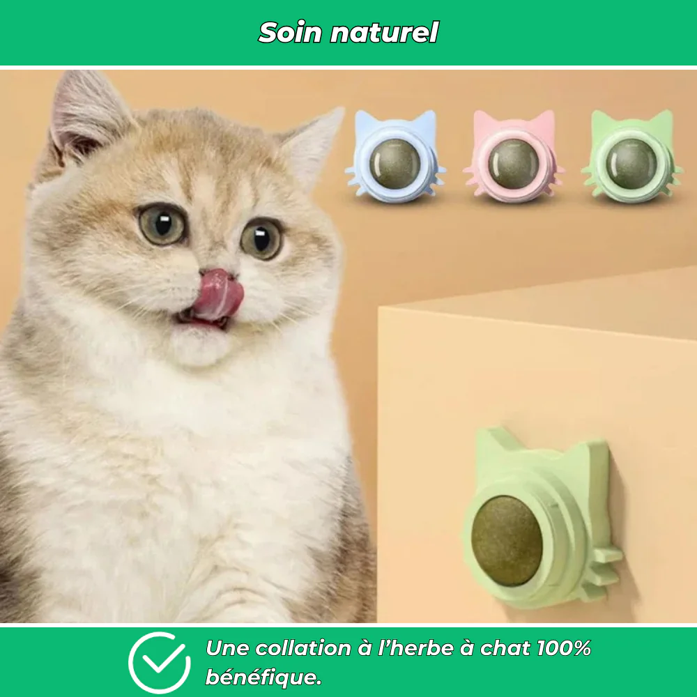 Sucette murale VetiPure à l’herbe à chat – Jouet relaxant et stimulant - Image 4