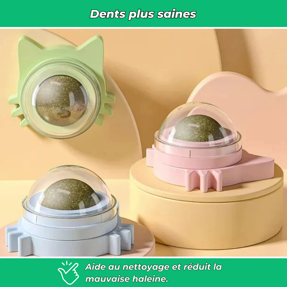 Sucette murale VetiPure à l’herbe à chat – Jouet relaxant et stimulant - Image 5