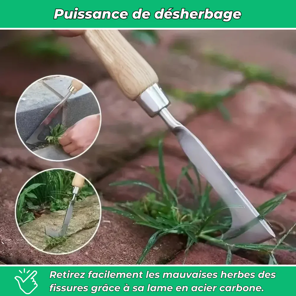 Outil de Désherbage Efficace pour un Jardin Impeccable - Image 3